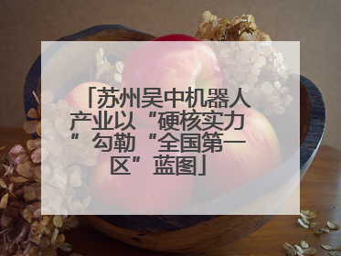 苏州吴中机器人产业以“硬核实力”勾勒“全国第一区”蓝图