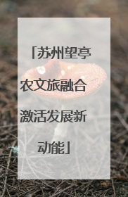 苏州望亭农文旅融合激活发展新动能