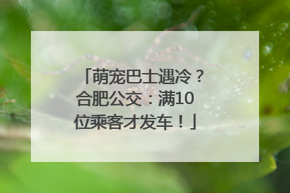 萌宠巴士遇冷？合肥公交：满10位乘客才发车！
