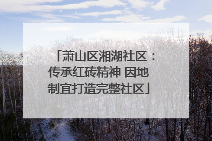 萧山区湘湖社区：传承红砖精神 因地制宜打造完整社区