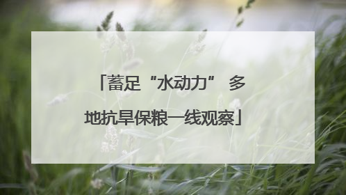 蓄足“水动力” 多地抗旱保粮一线观察