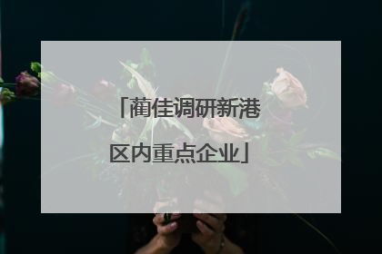 蔺佳调研新港区内重点企业