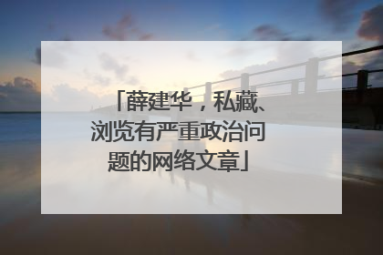 薛建华，私藏、浏览有严重政治问题的网络文章