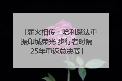 薪火相传：哈利魔法重振印城荣光 步行者时隔25年重返总决赛