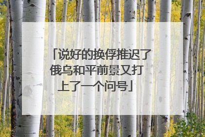 说好的换俘推迟了 俄乌和平前景又打上了一个问号