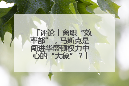 评论丨离职“效率部”，马斯克是闯进华盛顿权力中心的“大象”？