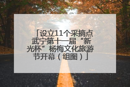 设立11个采摘点 武宁第十一届“新光杯”杨梅文化旅游节开幕（组图）