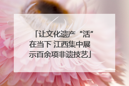 让文化遗产“活”在当下 江西集中展示百余项非遗技艺