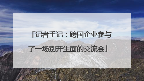 记者手记：跨国企业参与了一场别开生面的交流会