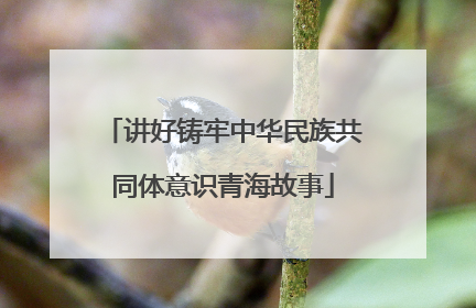讲好铸牢中华民族共同体意识青海故事