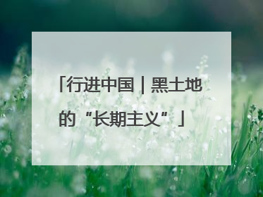 行进中国｜黑土地的“长期主义”