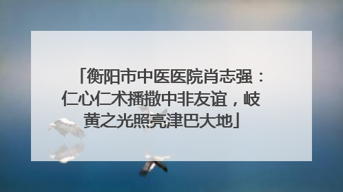 衡阳市中医医院肖志强：仁心仁术播撒中非友谊，岐黄之光照亮津巴大地