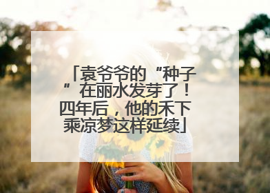 袁爷爷的“种子”在丽水发芽了！四年后，他的禾下乘凉梦这样延续