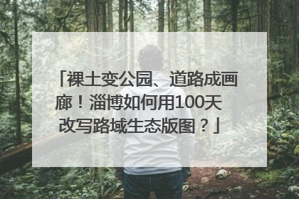 裸土变公园、道路成画廊！淄博如何用100天改写路域生态版图？