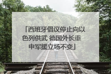 西班牙倡议停止向以色列供武 德国外长重申军援立场不变