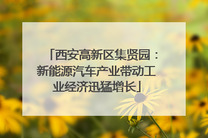 西安高新区集贤园：新能源汽车产业带动工业经济迅猛增长