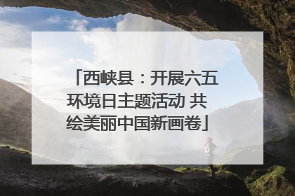 西峡县：开展六五环境日主题活动 共绘美丽中国新画卷