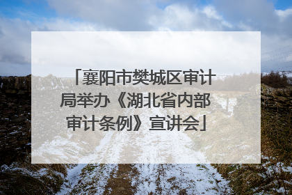 襄阳市樊城区审计局举办《湖北省内部审计条例》宣讲会