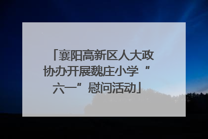 襄阳高新区人大政协办开展魏庄小学“六一”慰问活动