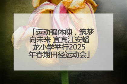运动强体魄，筑梦向未来 宜宾江安蟠龙小学举行2025年春期田径运动会