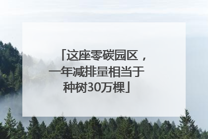 这座零碳园区，一年减排量相当于种树30万棵