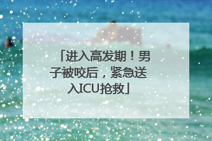 进入高发期！男子被咬后，紧急送入ICU抢救