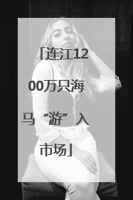 连江1200万只海马“游”入市场