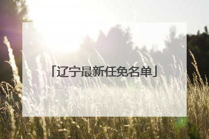 辽宁最新任免名单
