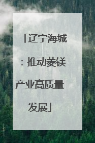 辽宁海城：推动菱镁产业高质量发展