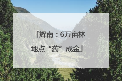 辉南：6万亩林地点“药”成金