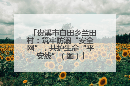 贵溪市白田乡兰田村：筑牢防溺“安全网”，共护生命“平安线”（图）
