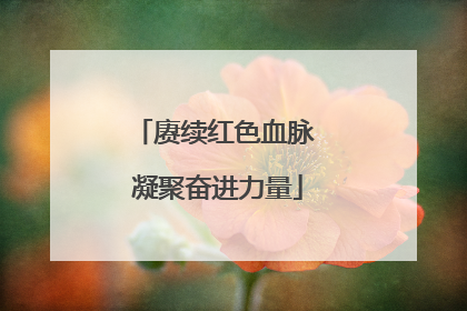 赓续红色血脉 凝聚奋进力量