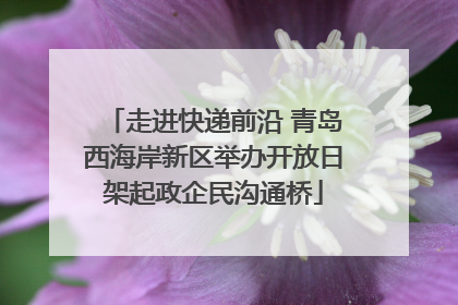 走进快递前沿 青岛西海岸新区举办开放日架起政企民沟通桥