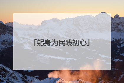 躬身为民践初心