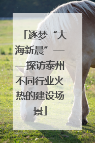 逐梦“大海新晨”——探访泰州不同行业火热的建设场景
