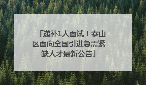 递补1人面试！泰山区面向全国引进急需紧缺人才最新公告