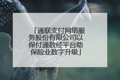 通联支付网络服务股份有限公司以保付通数经平台助保险业数字升级