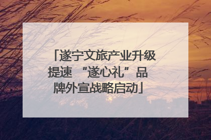 遂宁文旅产业升级提速 “遂心礼”品牌外宣战略启动