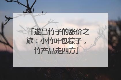 遂昌竹子的涨价之旅：小竹叶包粽子，竹产品走四方