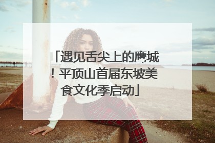 遇见舌尖上的鹰城！平顶山首届东坡美食文化季启动