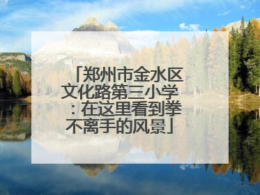 郑州市金水区文化路第三小学：在这里看到拳不离手的风景