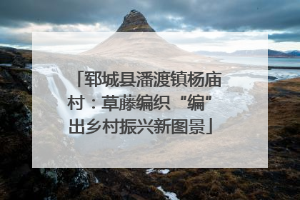郓城县潘渡镇杨庙村：草藤编织“编”出乡村振兴新图景