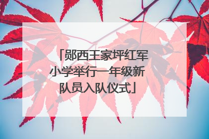 郧西王家坪红军小学举行一年级新队员入队仪式