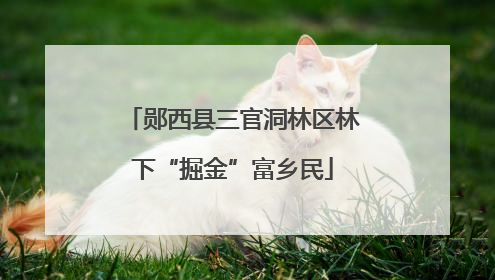 郧西县三官洞林区林下“掘金”富乡民