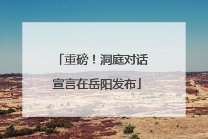 重磅！洞庭对话宣言在岳阳发布
