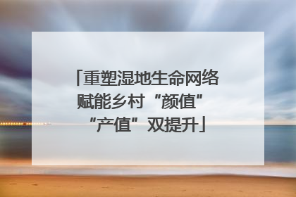 重塑湿地生命网络 赋能乡村“颜值”“产值”双提升