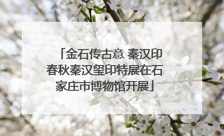 金石传古意 秦汉印春秋秦汉玺印特展在石家庄市博物馆开展