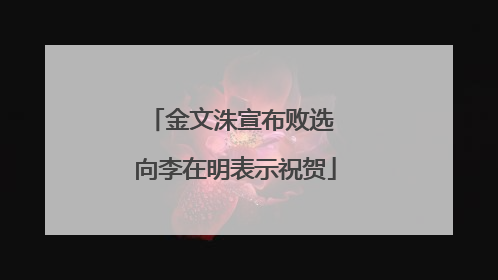 金文洙宣布败选 向李在明表示祝贺