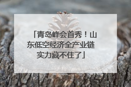 青岛峰会首秀！山东低空经济全产业链实力藏不住了