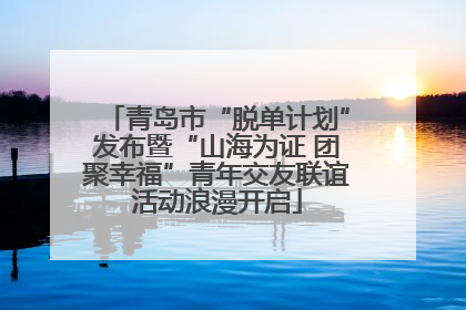 青岛市“脱单计划”发布暨“山海为证 团聚幸福”青年交友联谊活动浪漫开启